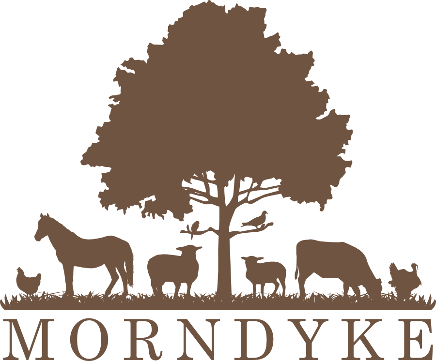 Morndyke Farm, Shepherds Huts & Cottage in Thirsk North Yorkshire