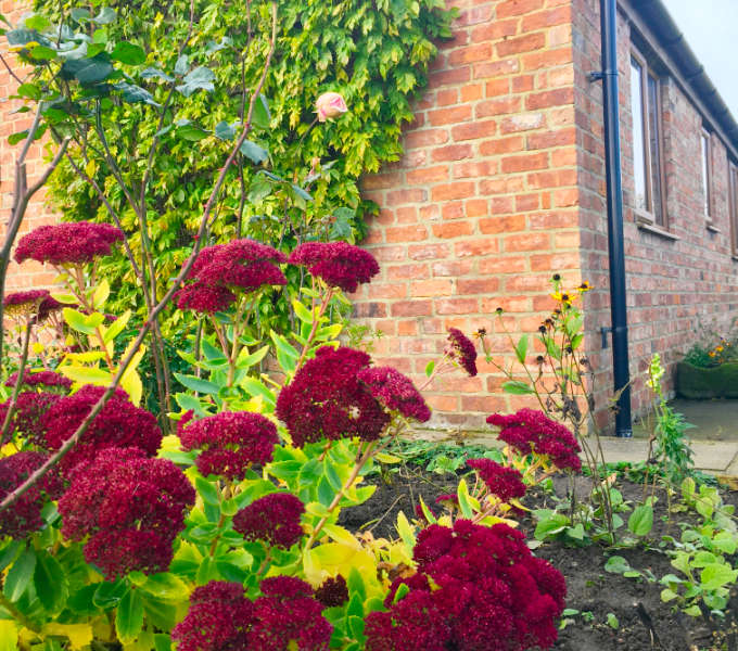 Morndyke Cottage