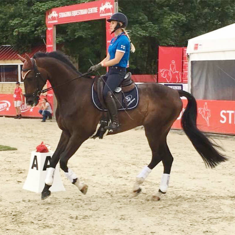 Morndyke Equestrian