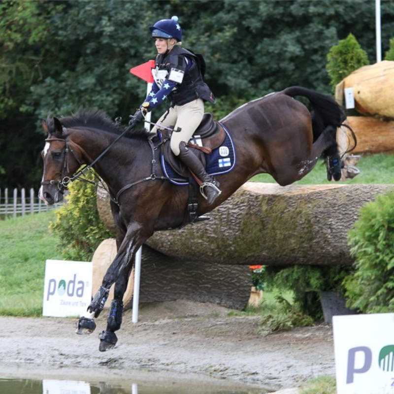 Morndyke Equestrian