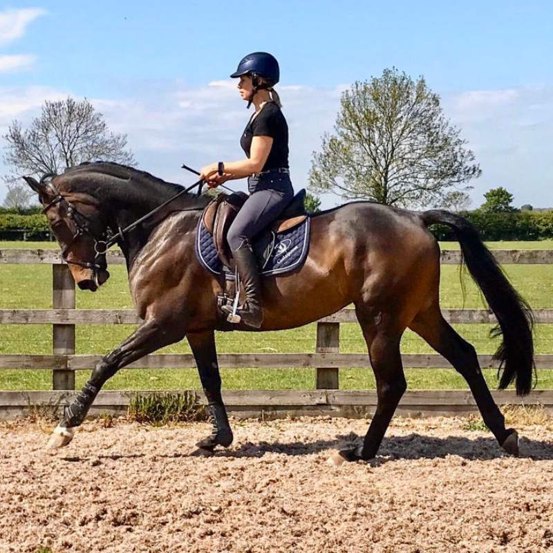 Morndyke Equestrian