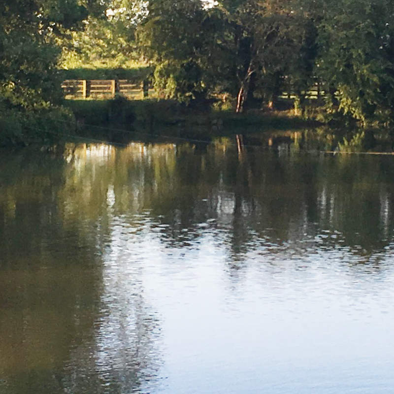 Morndyke Fishery