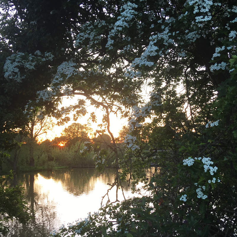 Morndyke Fishery