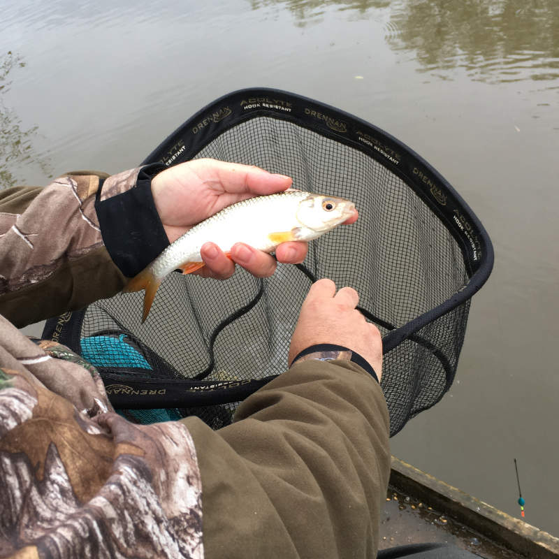 Morndyke Fishery