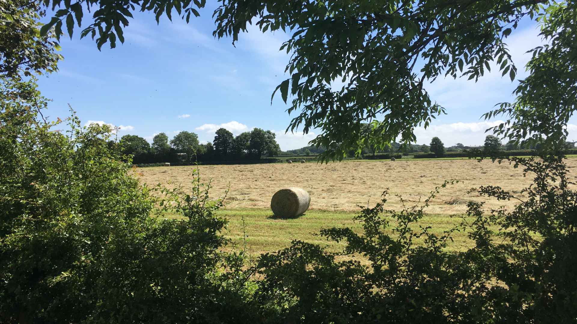 Morndyke Shepherds' Huts - Places to see and activities in North Yorkshire